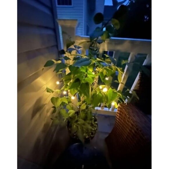 Solar Garden Lights - New Upgraded Solar Swaying Light, Sway by Wind - Picture 3 of 3
